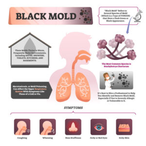 black mold symptoms 